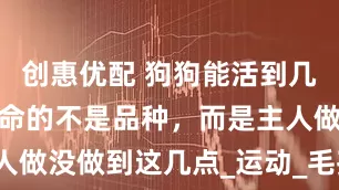 创惠优配 狗狗能活到几岁？决定寿命的不是品种，而是主人做没做到这几点_运动_毛孩子_老年