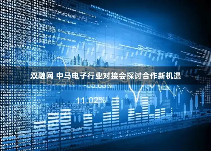 双融网 中马电子行业对接会探讨合作新机遇