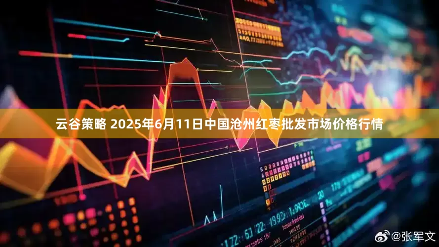 云谷策略 2025年6月11日中国沧州红枣批发市场价格行情